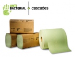 Antibacterial paper towel receives innovation award