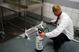 Birchmeier for foam cleaning