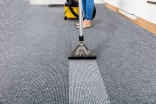 Carpet care on every level