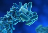 Legionnaires’ outbreak in New York cooling towers reaches 60 cases