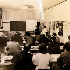Pulex Brand: Celebrating 60...