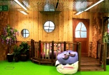 Carpet care and astro turf adventures at Mind Candy