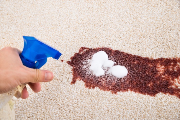 Carpets The Mechanics Of Spot Cleaning ECJ