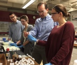 Chemistry team develops superbug-killing disinfectants