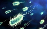 Hospital room items left off cleaning list may contain dangerous bacteria