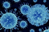 California wildfire evacuees face the misery of norovirus