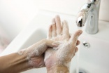 Stop norovirus in its tracks