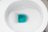 Scientists develop self-cleaning toilet