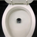 Study: 19 percent of people drop phones down toilet