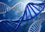 The role of biotechnology in sustainable cleaning products