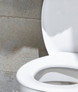 Putting the toilet lid down has little effect on viruses: study