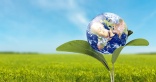 Planet-conscious design